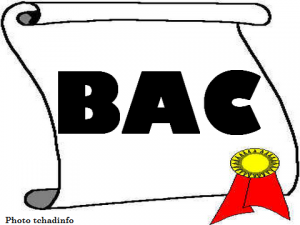 Article : Bonne chance!