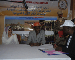 Article : Quand le Tchad compte son cheptel